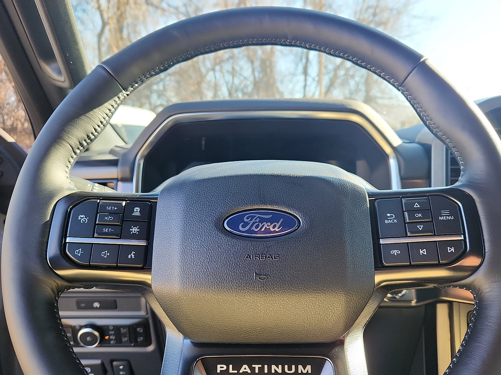 New 2025 Ford F150 Platinum w/ FX4 Off-Road Package image 14