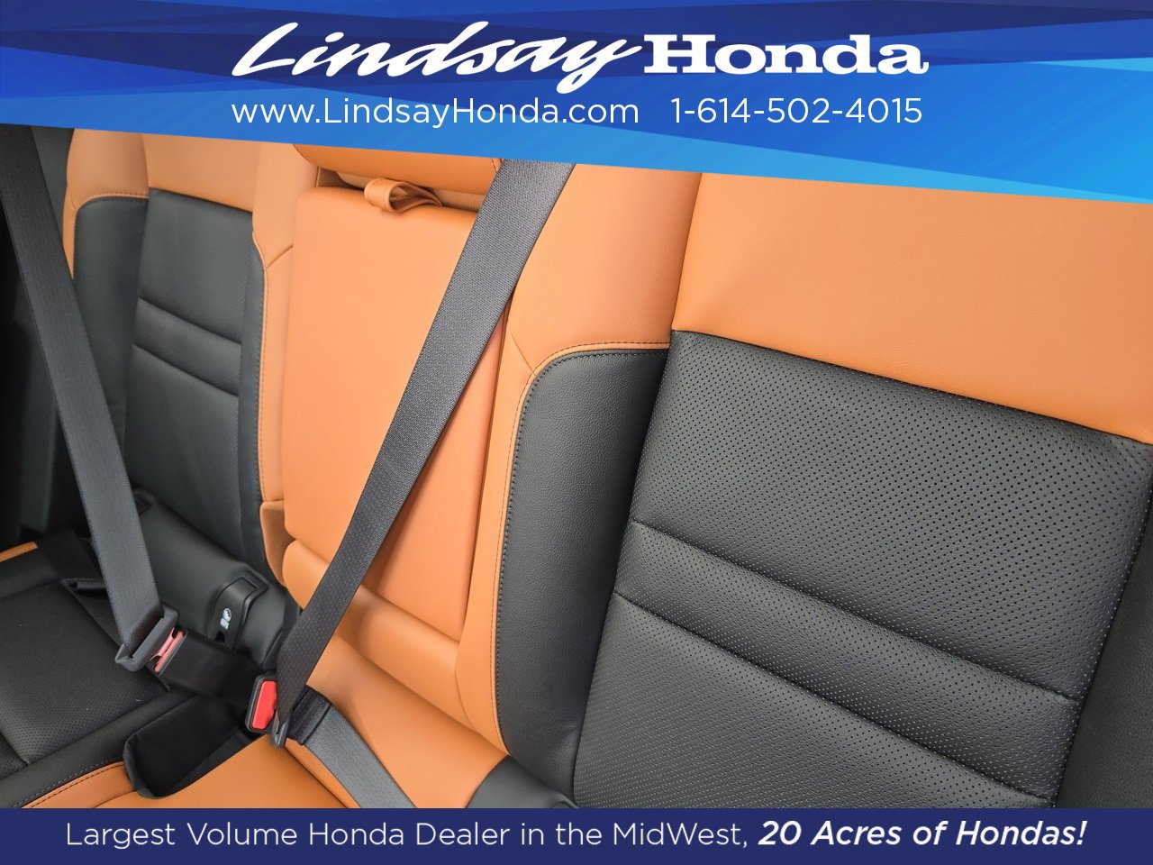 New 2026 Honda Prologue Elite image 4