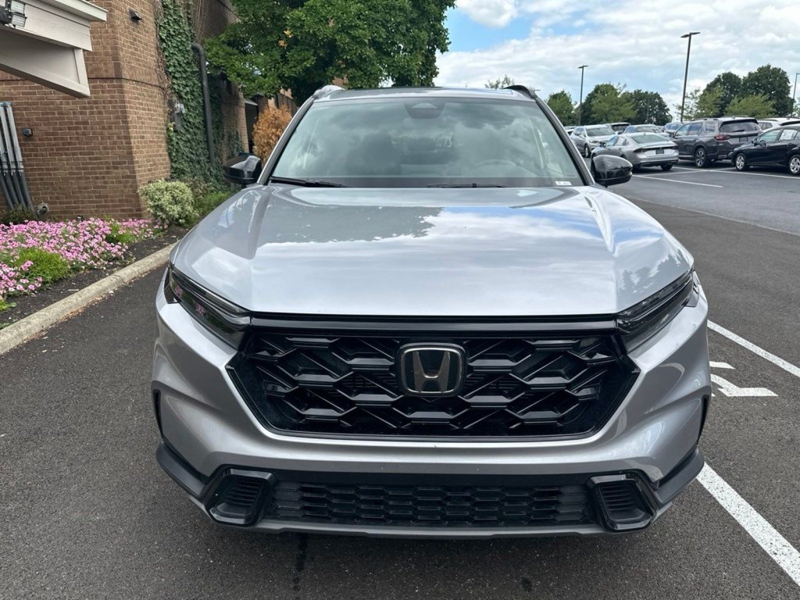 Used 2026 Honda CR-V Sport image 3