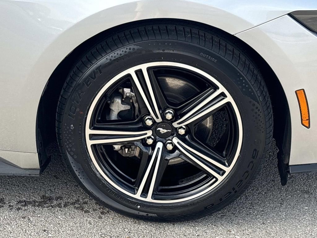 Used 2024 Ford Mustang EcoBoost image 11