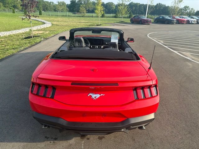 Used 2024 Ford Mustang Premium RWD image 13