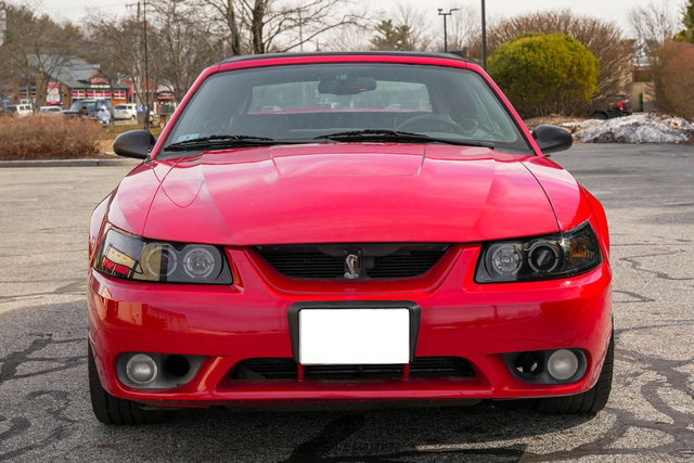 Used 1999 Ford Mustang Cobra image 16