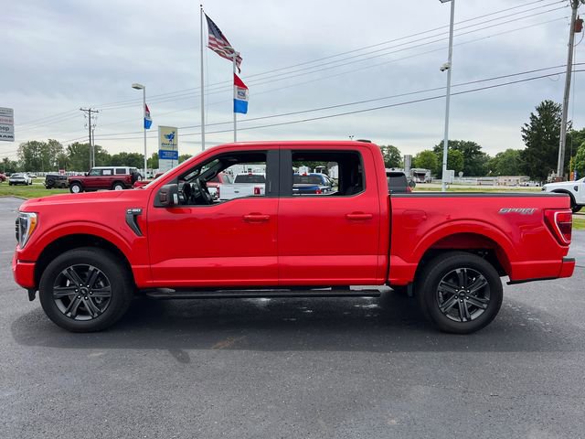 Used 2023 Ford F150 XLT w/ Equipment Group 302A High AWD/4WD image 4