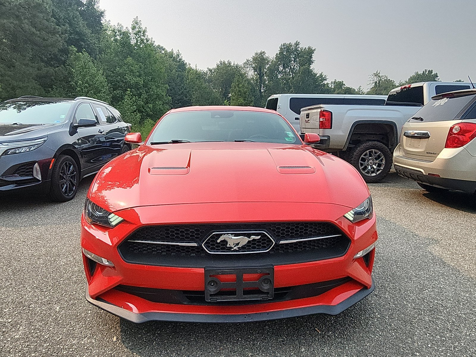 Used 2019 Ford Mustang Premium w/ Equipment Group 201A RWD image 8