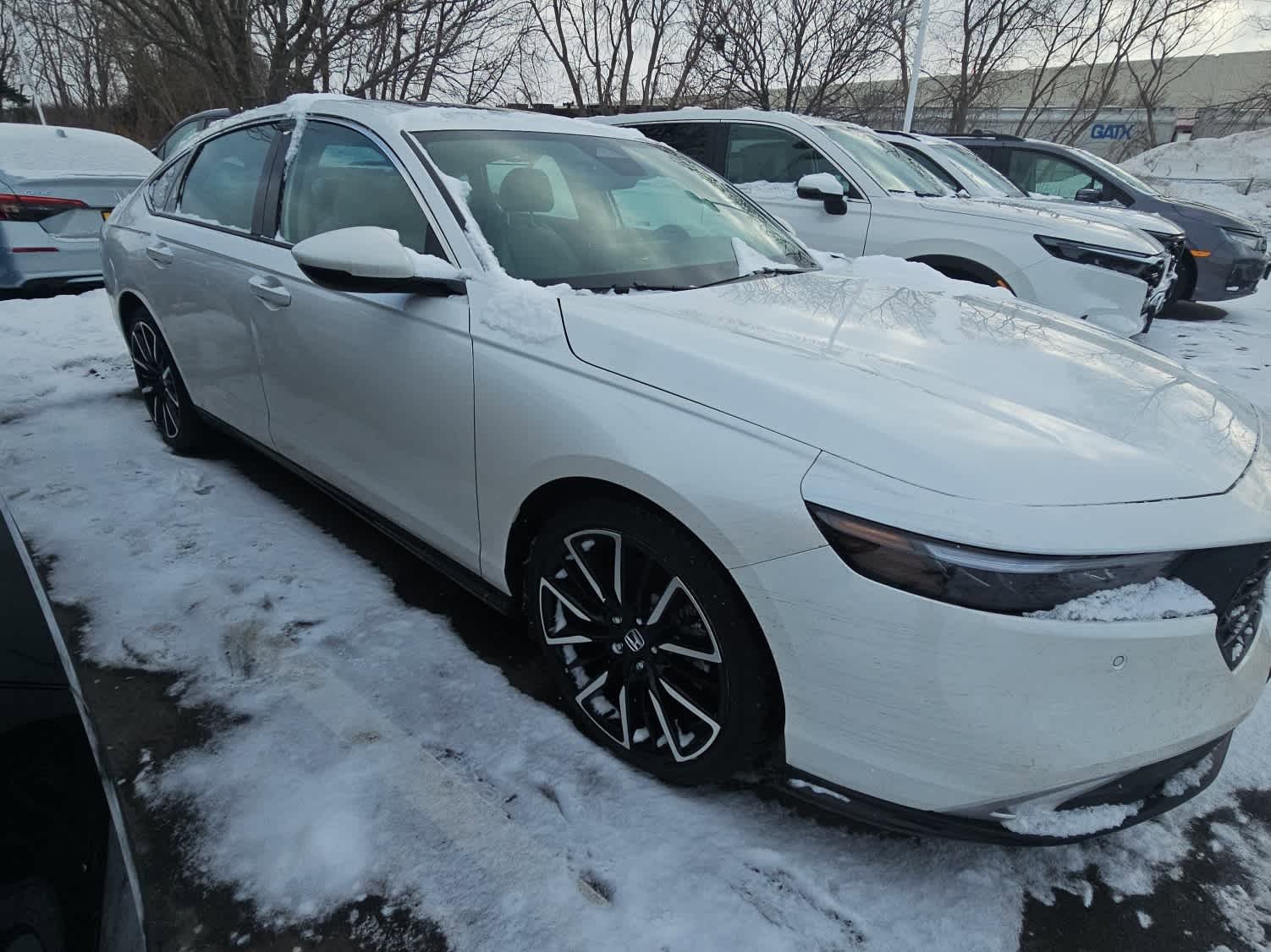 Used 2025 Honda Accord Touring image 2