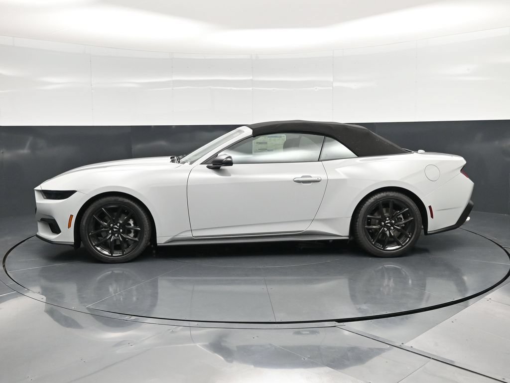 New 2026 Ford Mustang Convertible w/ Mustang Nite Pony Package RWD image 7