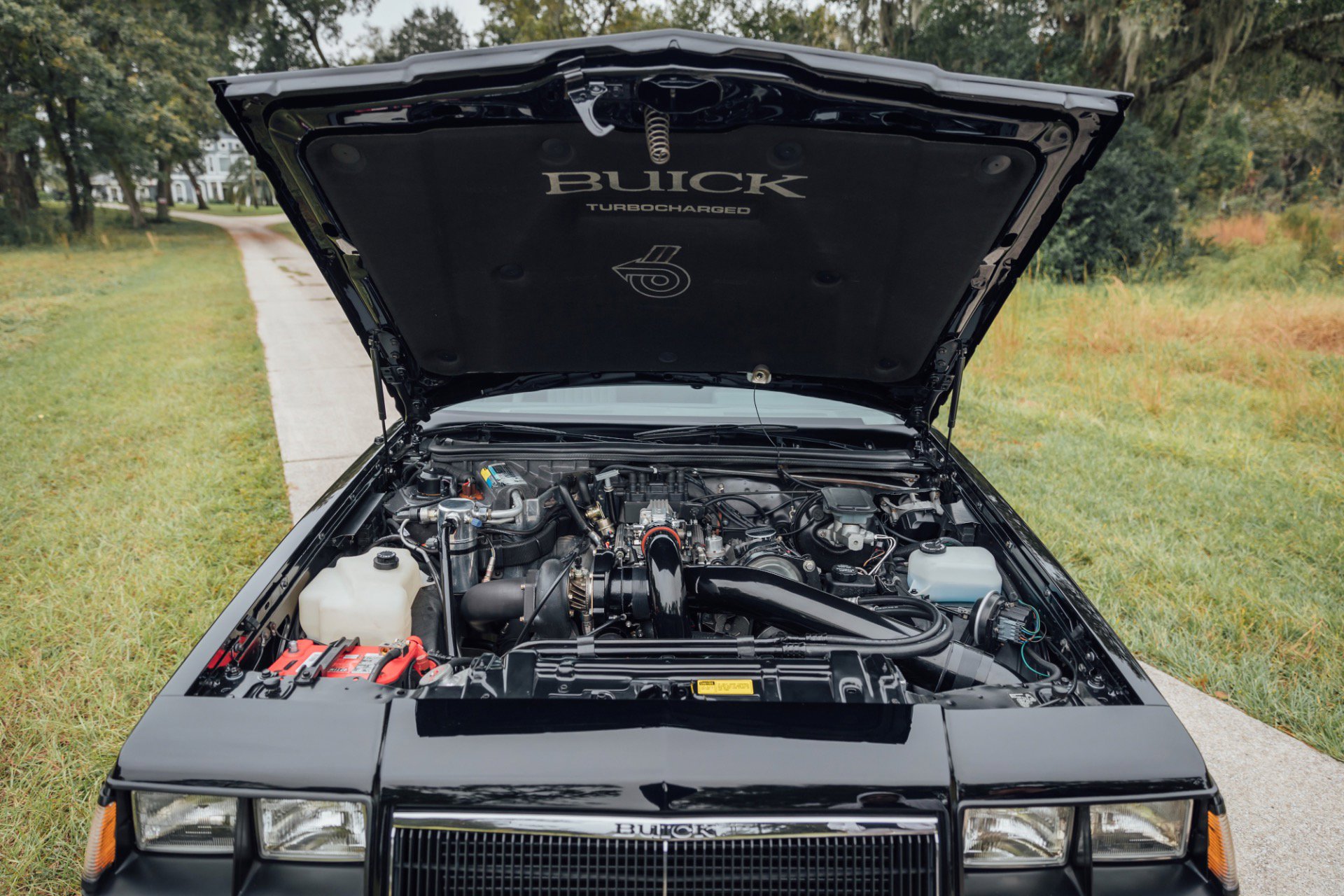 Used 1986 Buick Regal T-Type image 66