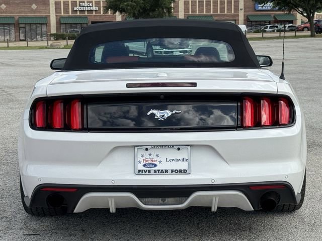 Used 2017 Ford Mustang Premium w/ Equipment Group 201A RWD image 5
