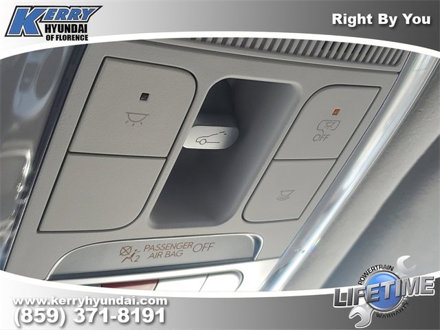 New 2026 Hyundai Ioniq 9 Calligraphy image 31