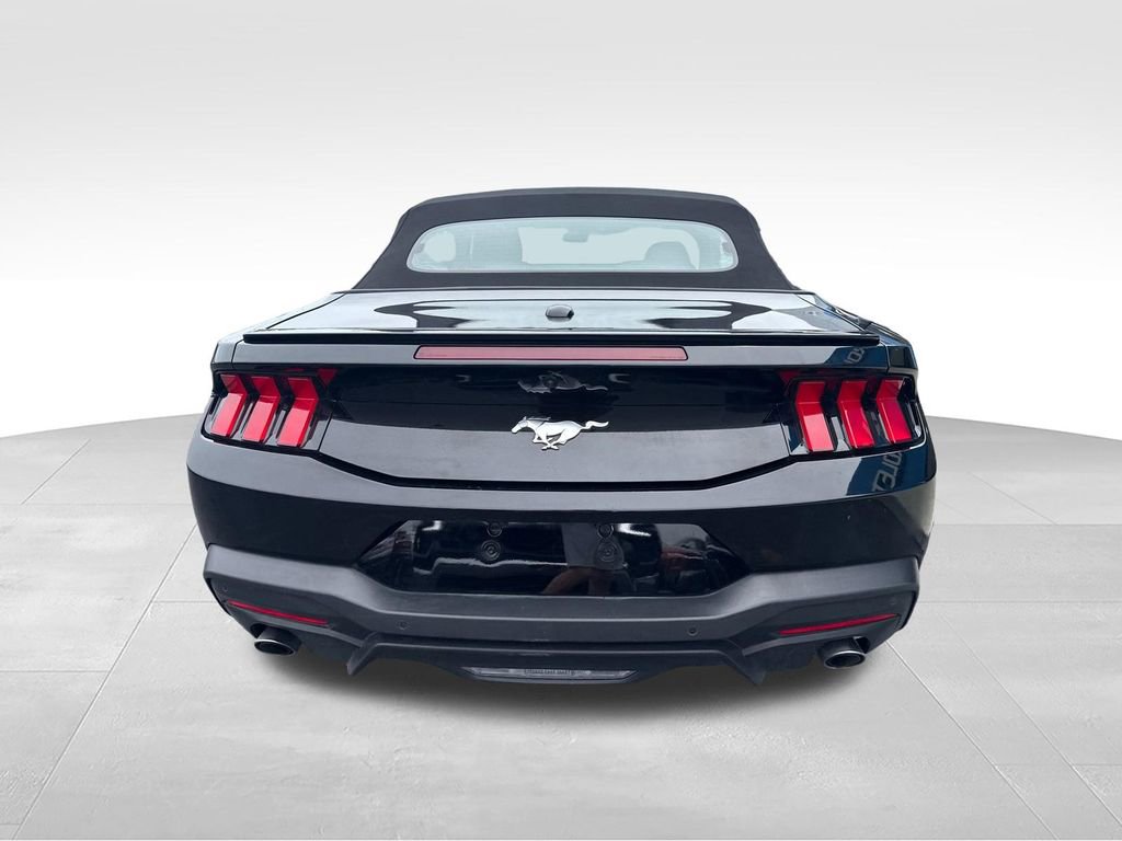 Used 2025 Ford Mustang Premium RWD image 4