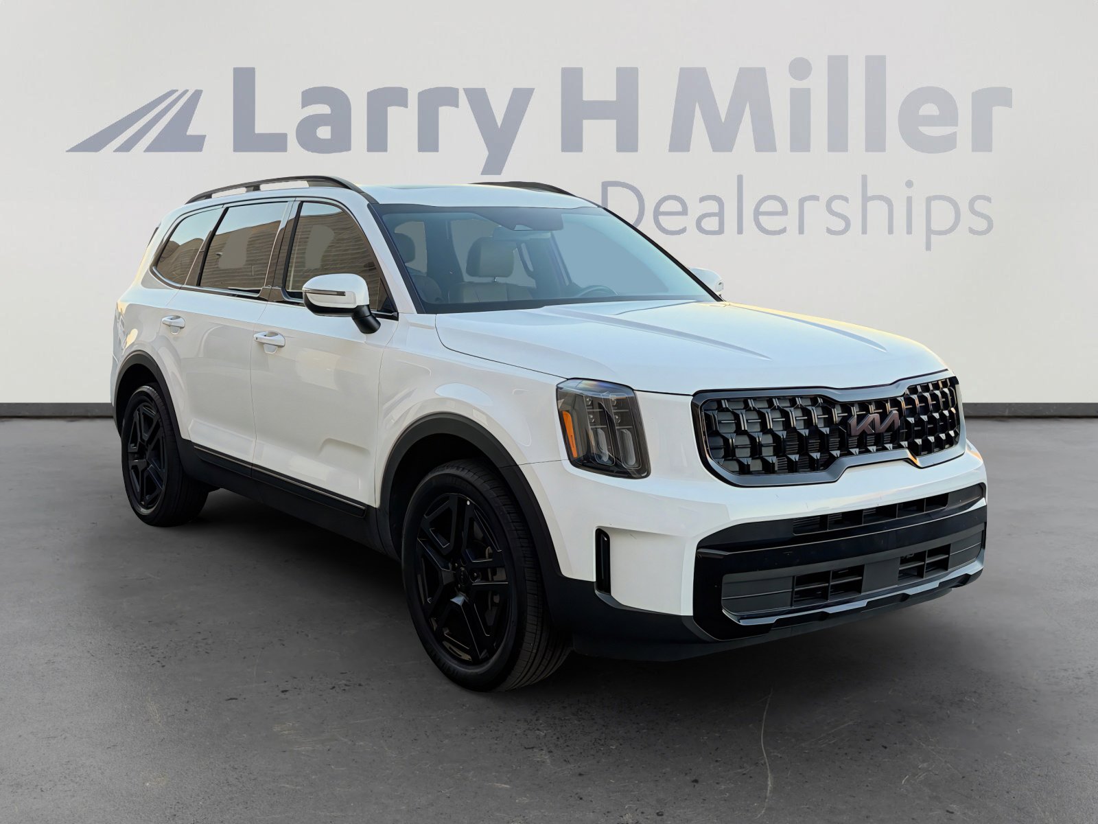 Used 2025 Kia Telluride EX X-Line image 7