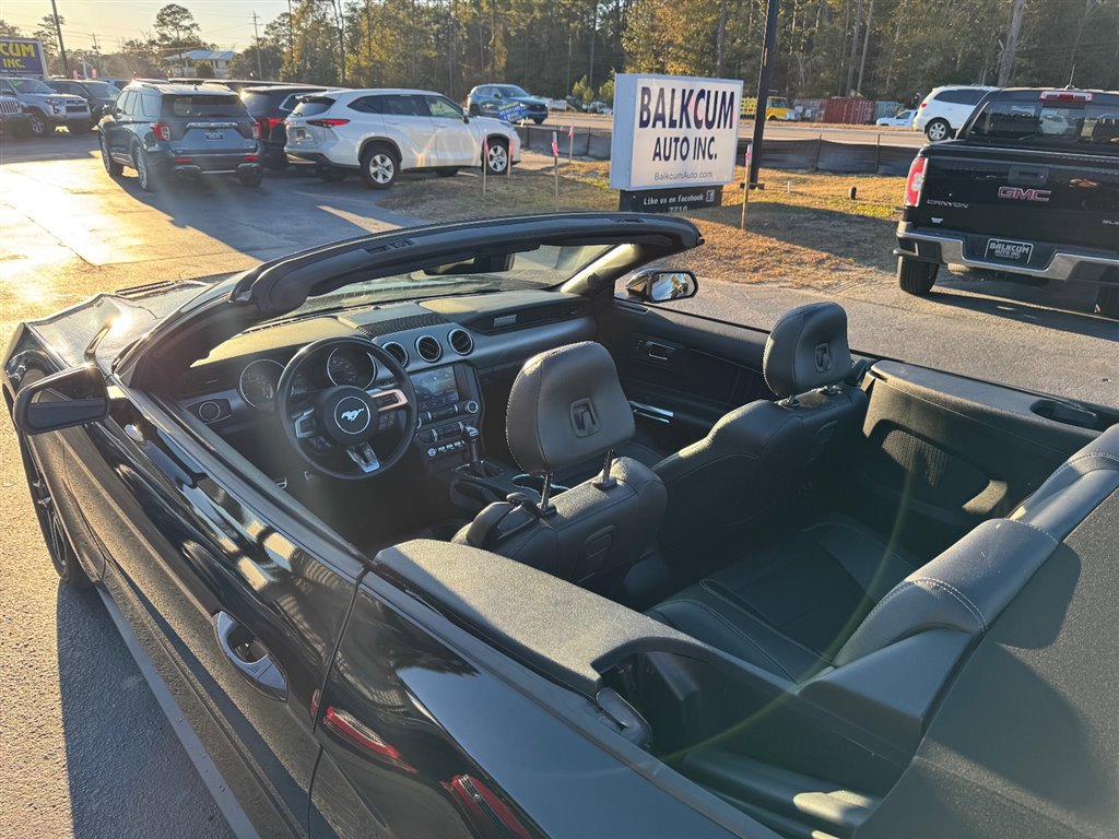 Used 2023 Ford Mustang Premium image 15