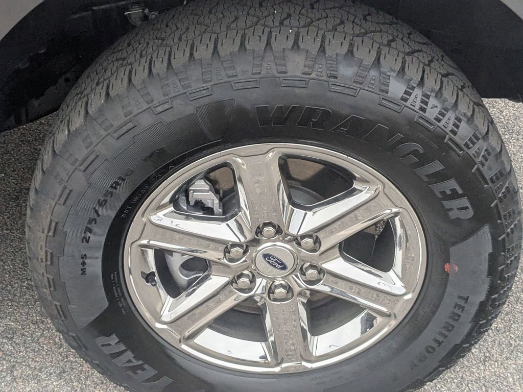 Used 2025 Ford F150 XLT w/ Equipment Group 301A Standard image 14