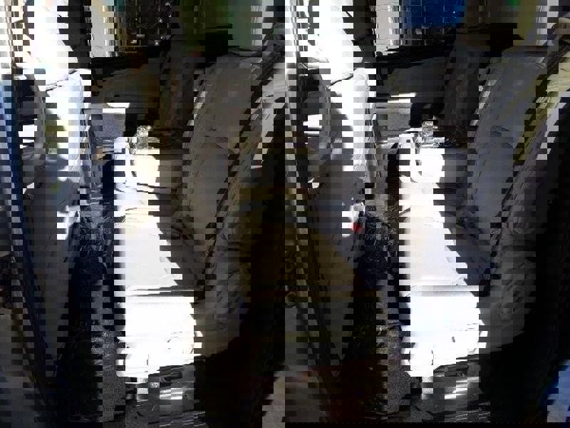 New 2026 Honda Odyssey EX-L image 15