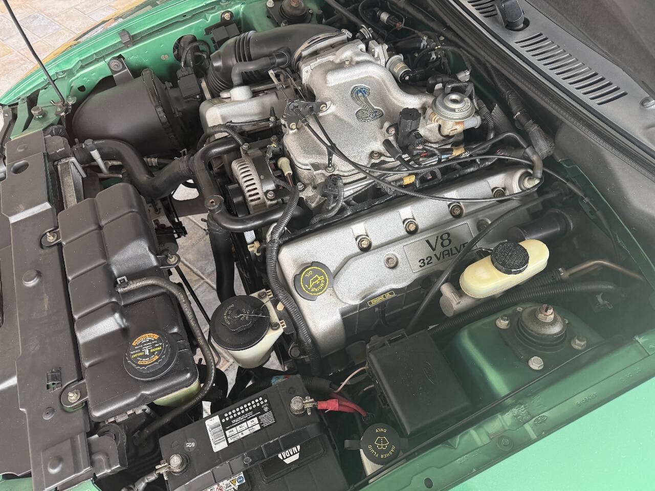 Used 1999 Ford Mustang Cobra RWD image 20