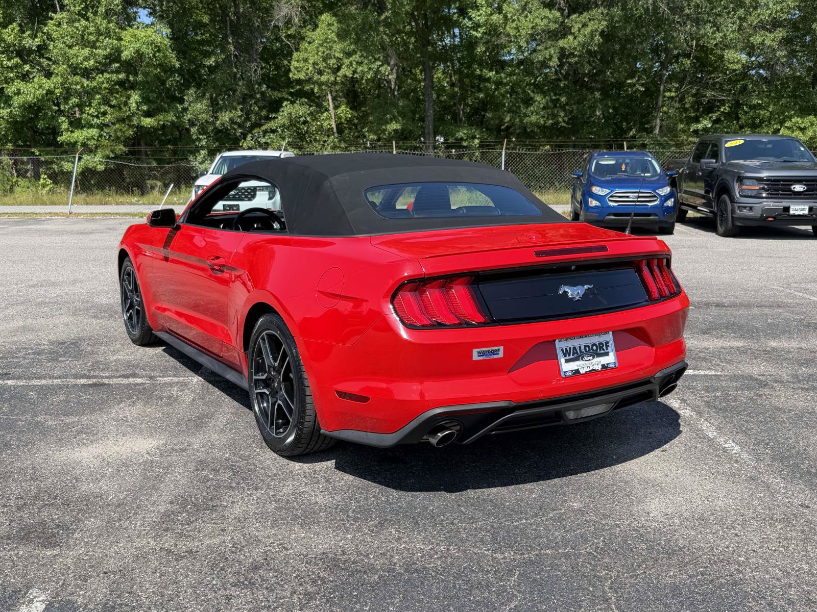 Used 2020 Ford Mustang Premium RWD image 4