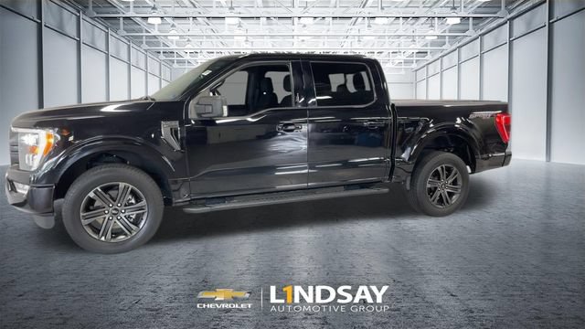 Used 2022 Ford F150 XLT w/ Equipment Group 302A High AWD/4WD image 8