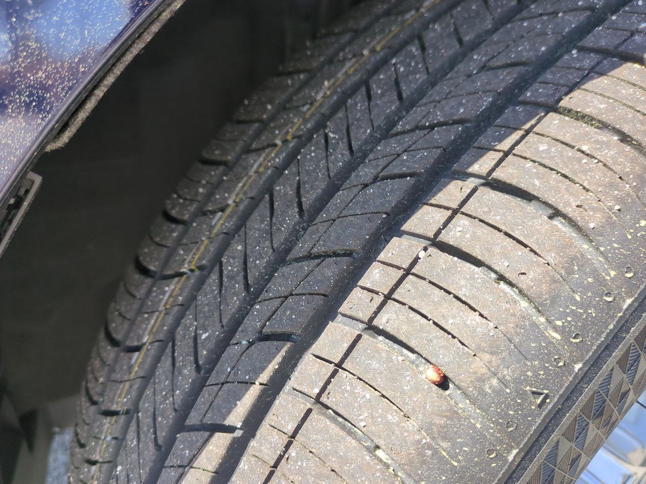 Used 2022 Toyota Sienna Platinum image 12