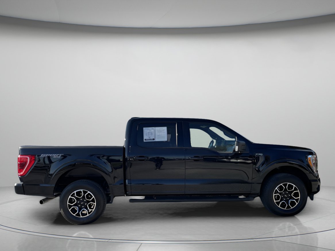 Used 2023 Ford F150 XLT w/ Equipment Group 302A High image 2