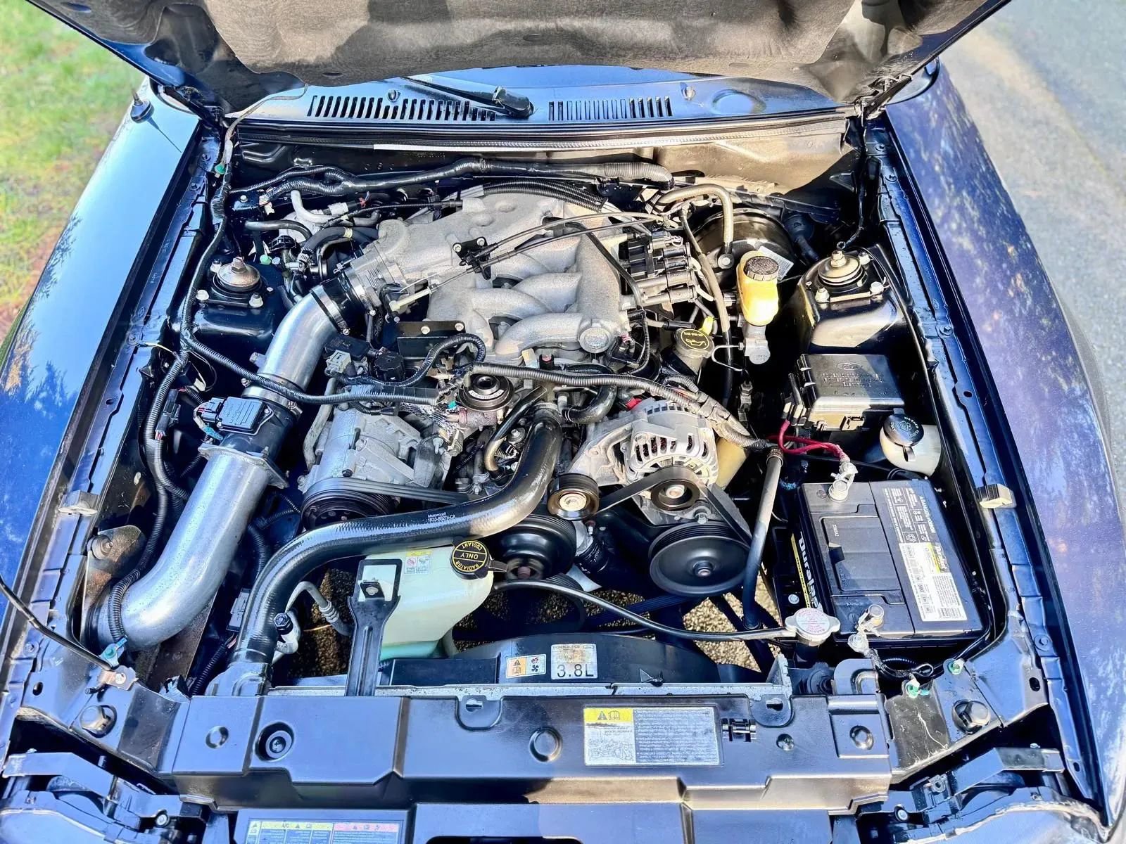 Used 2002 Ford Mustang Coupe RWD image 15