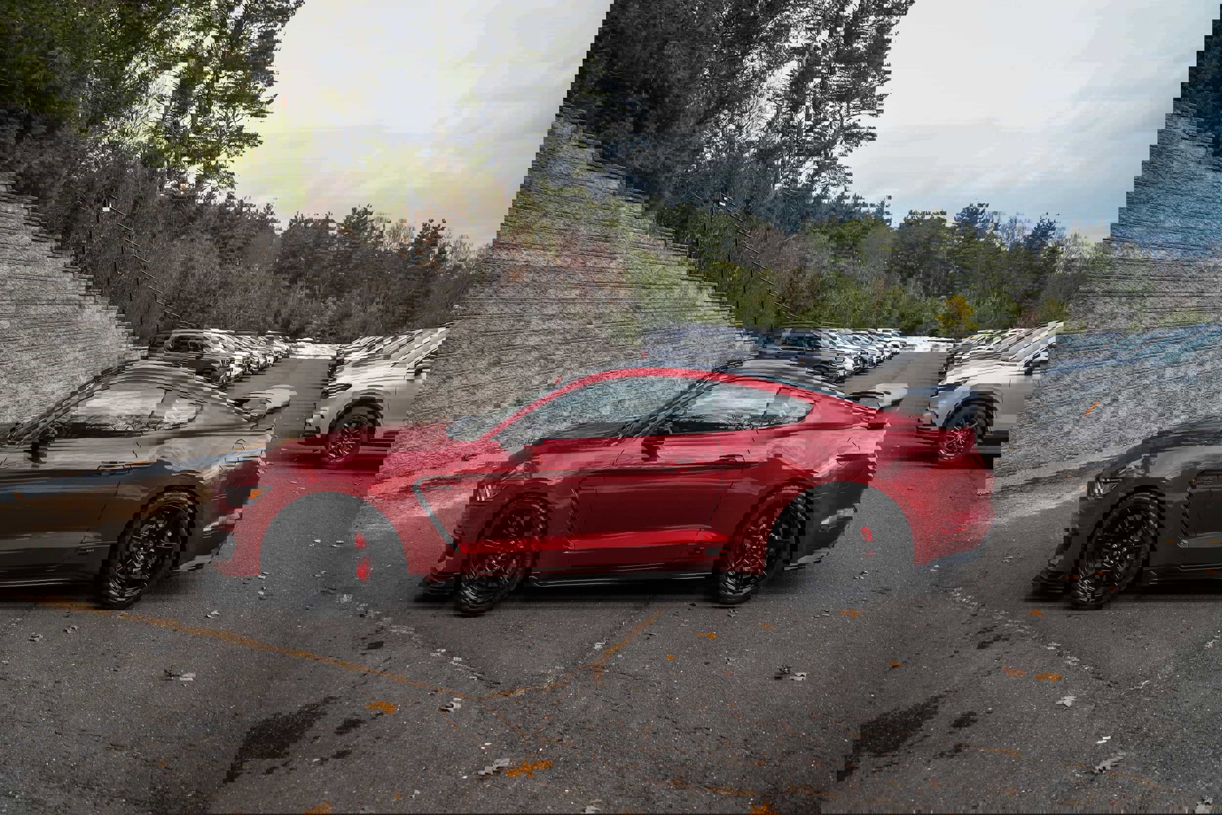 Used 2020 Ford Mustang Shelby GT350R w/ GT350R Equipment Group 920A image 10