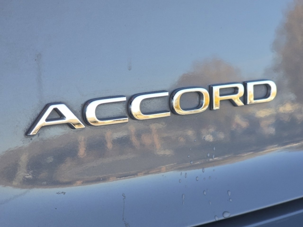 Used 2025 Honda Accord EX-L image 13