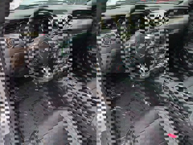 Used 2015 Ford Mustang Premium w/ 50 Years Appearance Package RWD image 14