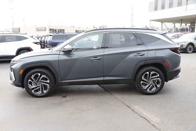 Certified 2025 Hyundai Tucson Limited image 8