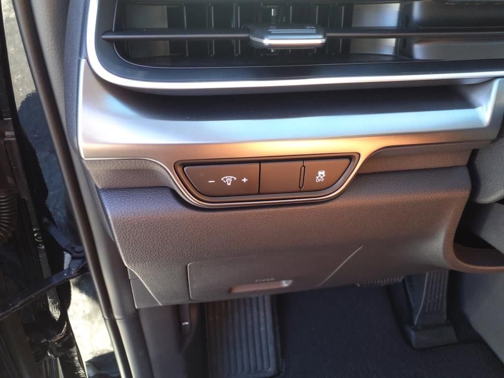 New 2025 Kia Carnival SX Prestige image 17