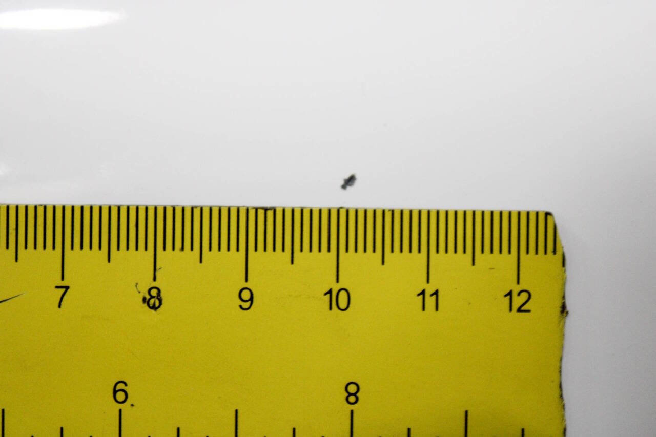 Used 1988 Chevrolet Silverado 3500 2WD Crew Cab image 32