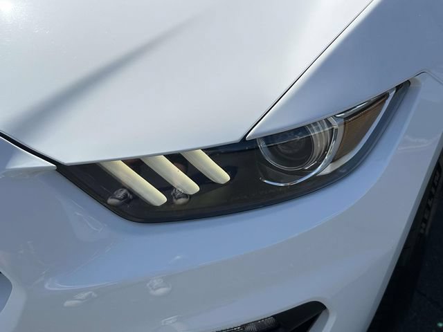 Used 2017 Ford Mustang Shelby GT350 RWD image 10