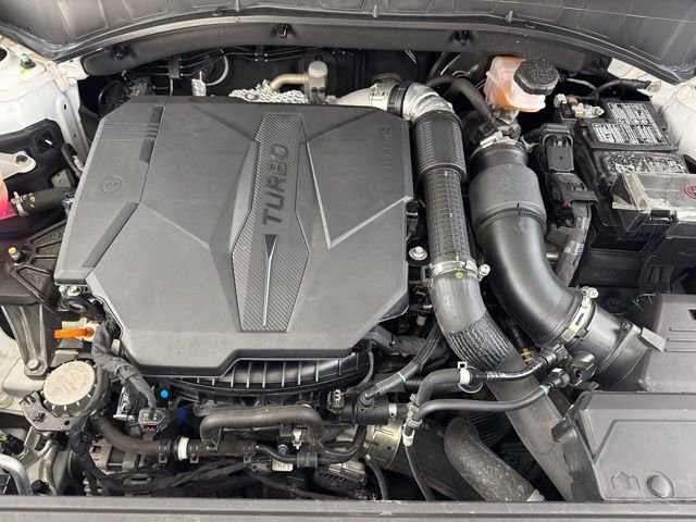 Certified 2023 Hyundai Santa Fe Calligraphy image 22