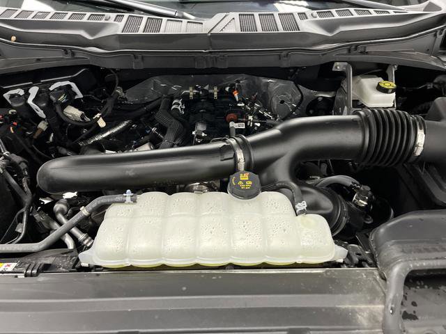 Used 2025 Ford F150 XLT w/ Equipment Group 302A MID image 40