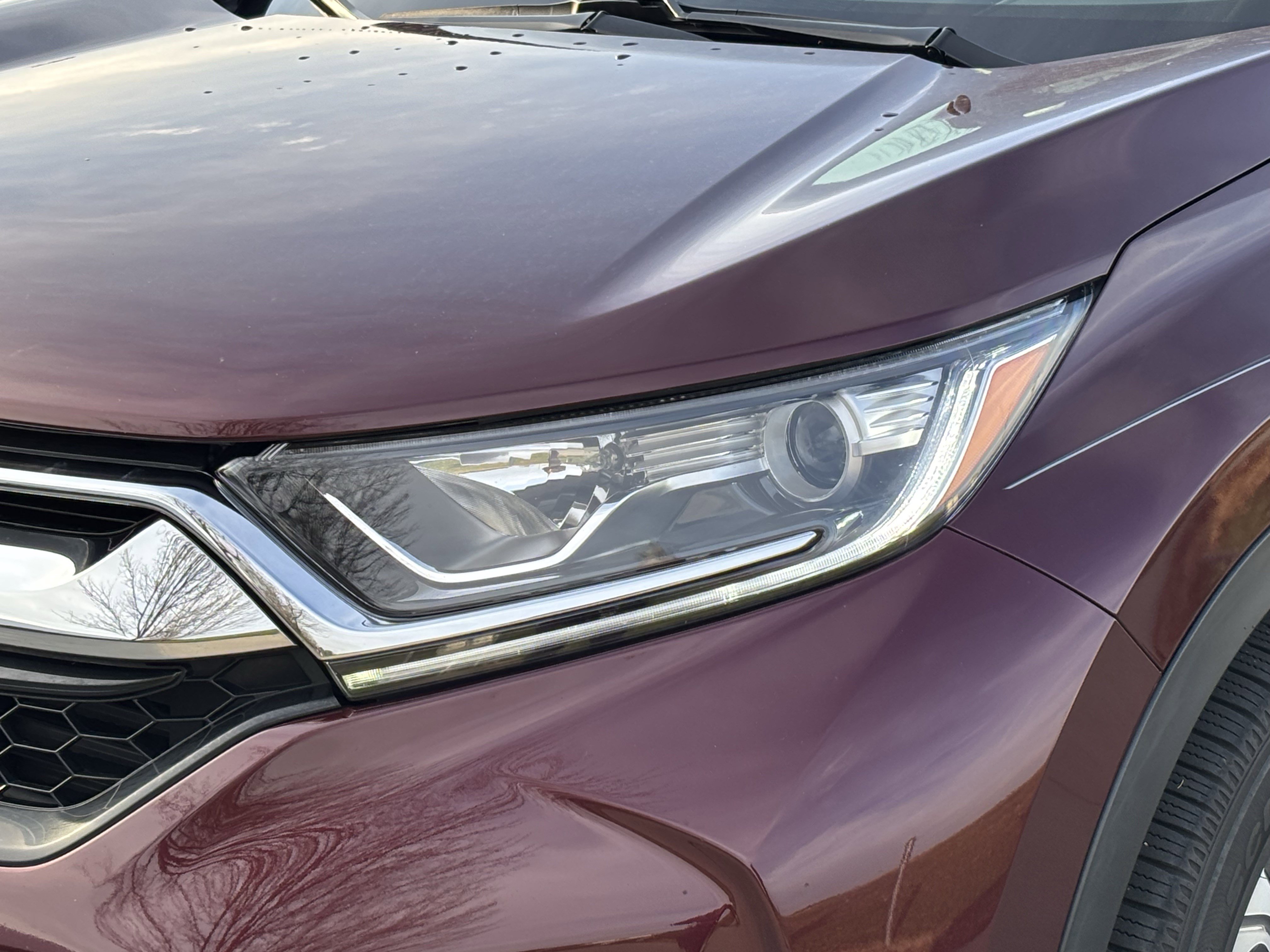 Used 2019 Honda CR-V EX-L image 6