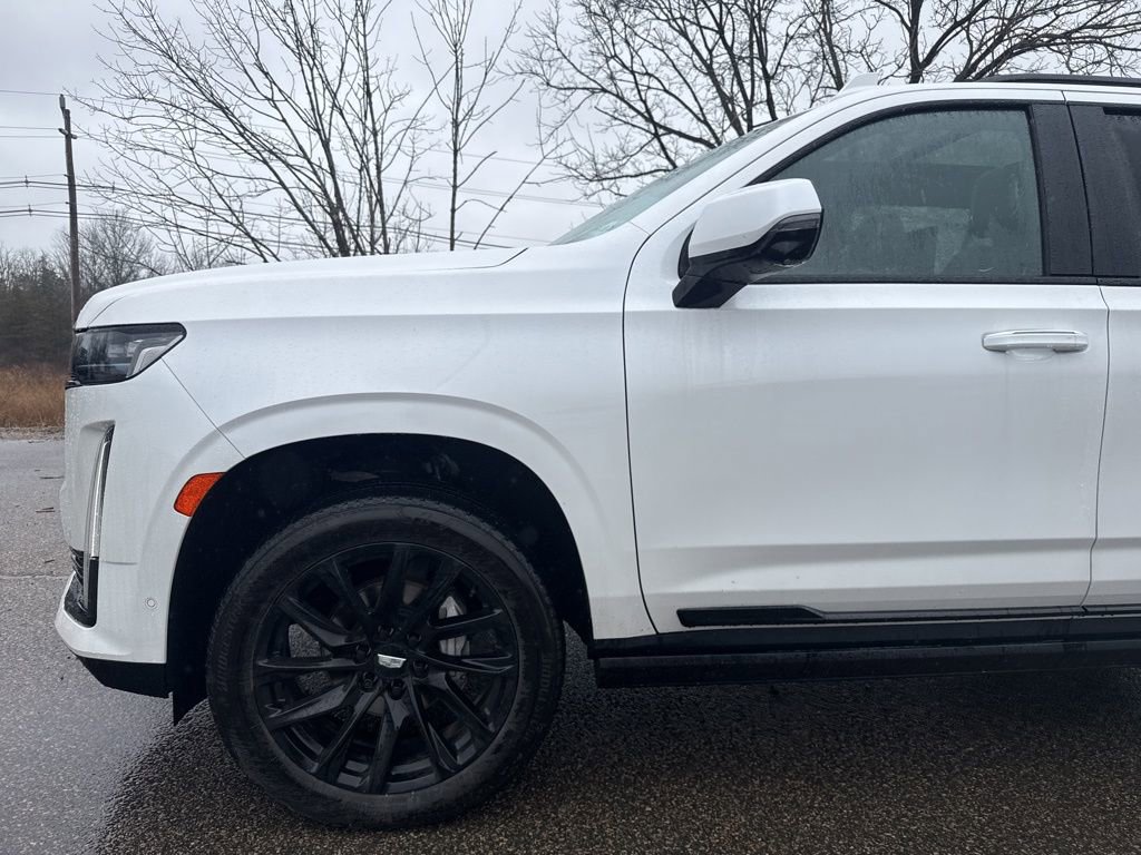 Used 2023 Cadillac Escalade Sport Platinum w/ LPO, ONYX Package image 5