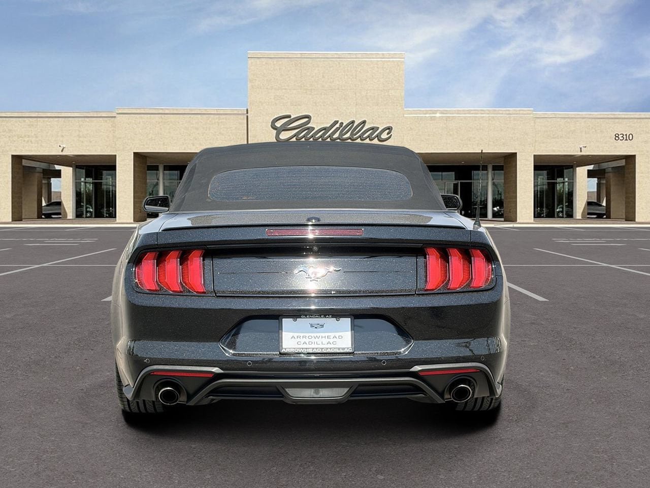 Used 2021 Ford Mustang Premium RWD image 6