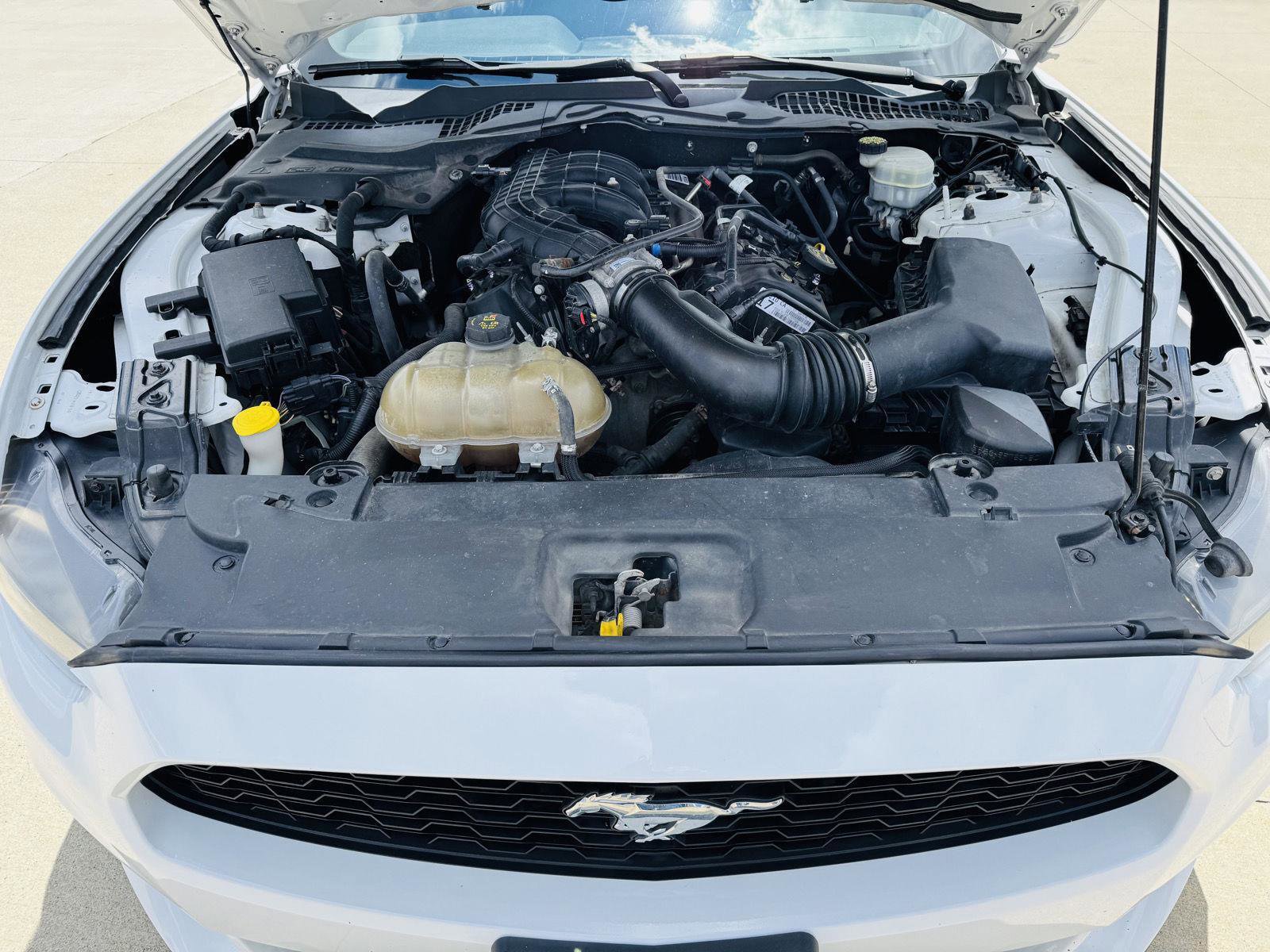 Used 2017 Ford Mustang Coupe w/ Equipment Group 051A RWD image 32