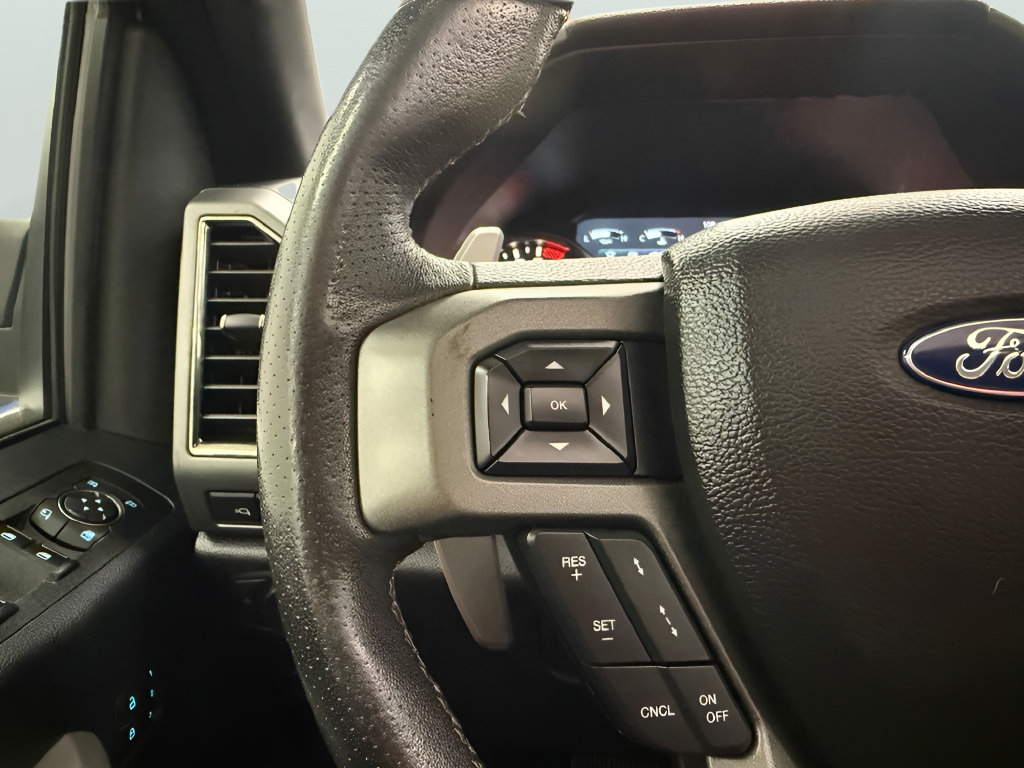 Used 2019 Ford F150 Raptor w/ Equipment Group 802A Luxury AWD/4WD image 19