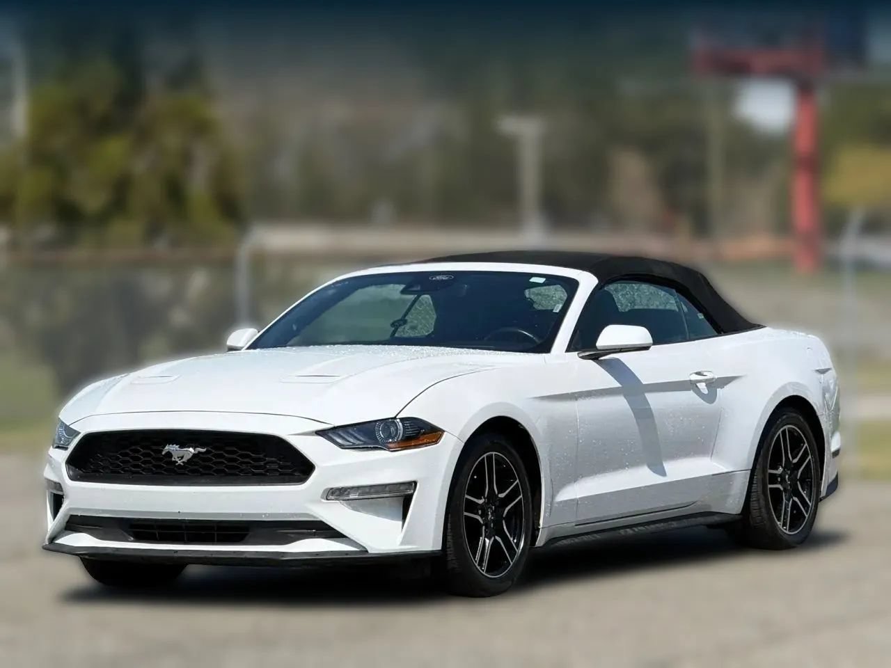Used 2023 Ford Mustang Premium RWD image 6