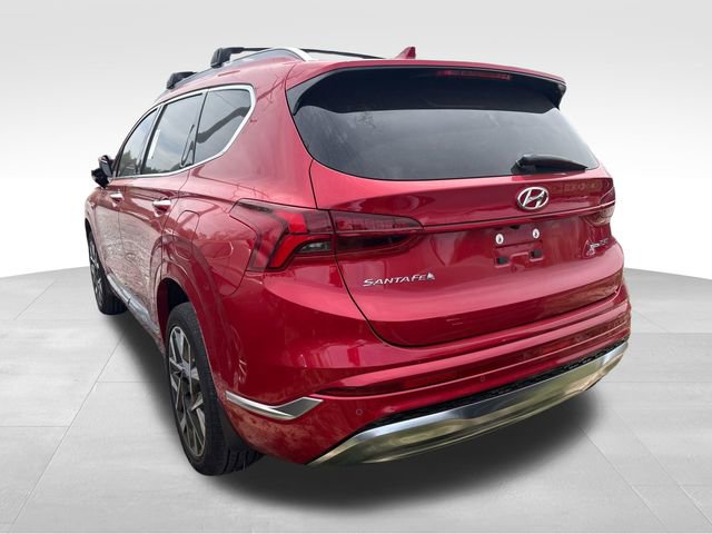 Used 2023 Hyundai Santa Fe Calligraphy image 5
