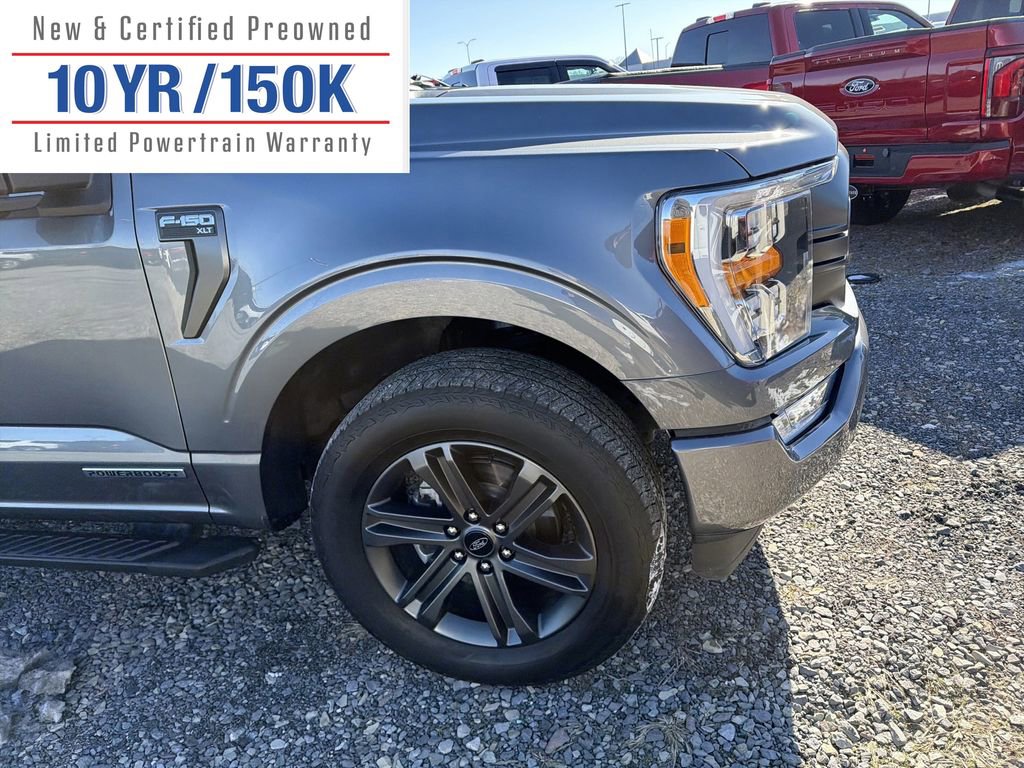 Used 2023 Ford F150 XLT w/ Equipment Group 302A High image 4