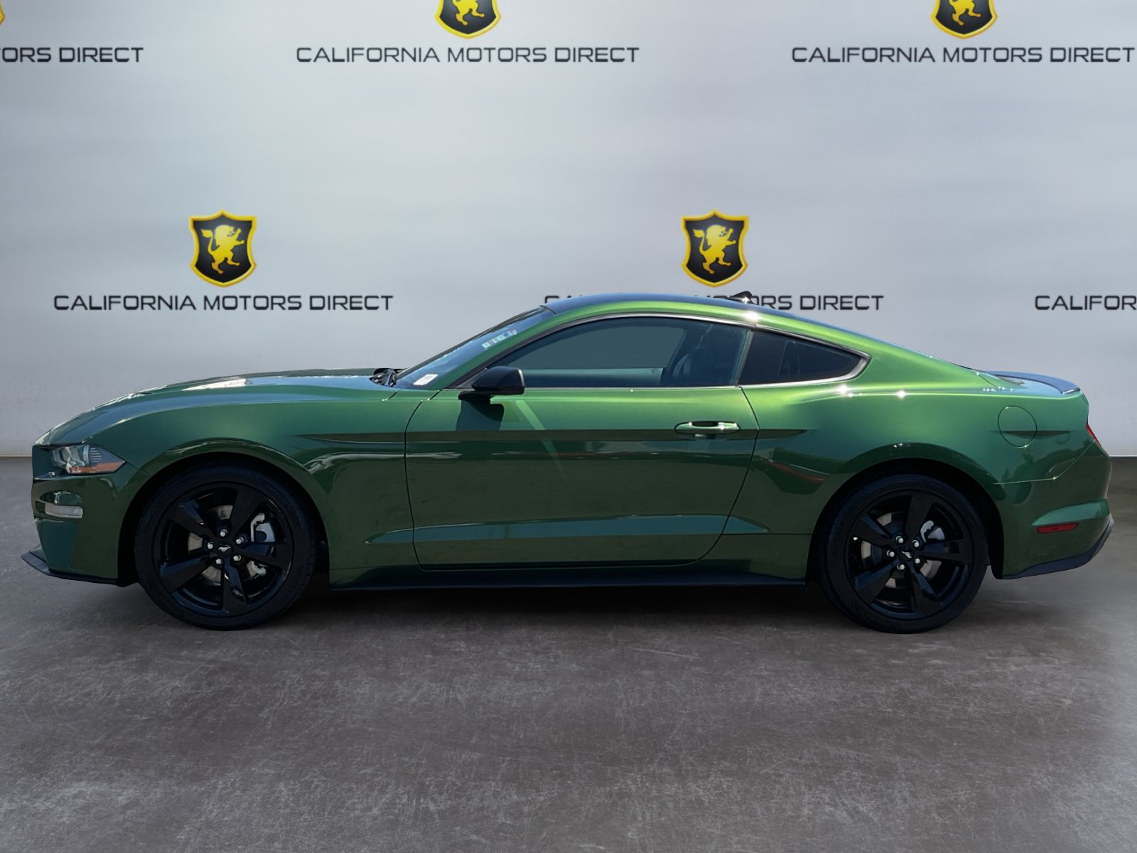 Used 2023 Ford Mustang Premium w/ Mustang Nite Pony Package RWD image 8