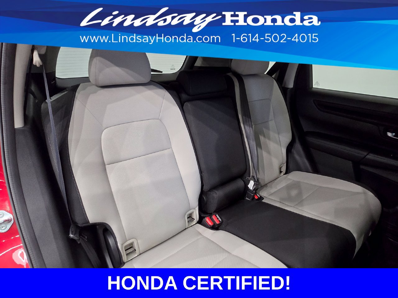 Used 2024 Honda CR-V EX image 9