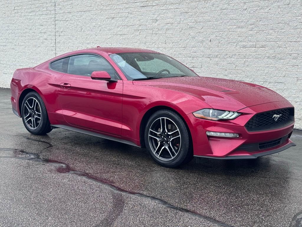 Certified 2021 Ford Mustang EcoBoost w/ Equipment Group 101A image 6
