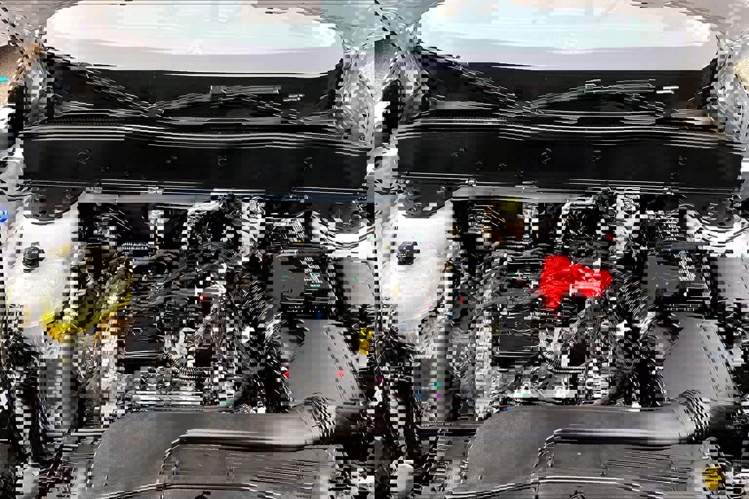 Certified 2024 Ford Bronco Sport Free Wheeling image 32