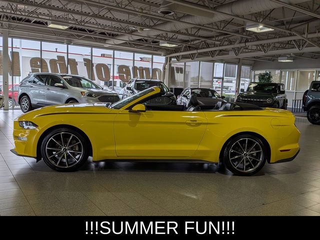 Used 2018 Ford Mustang Premium w/ Equipment Group 201A RWD image 5