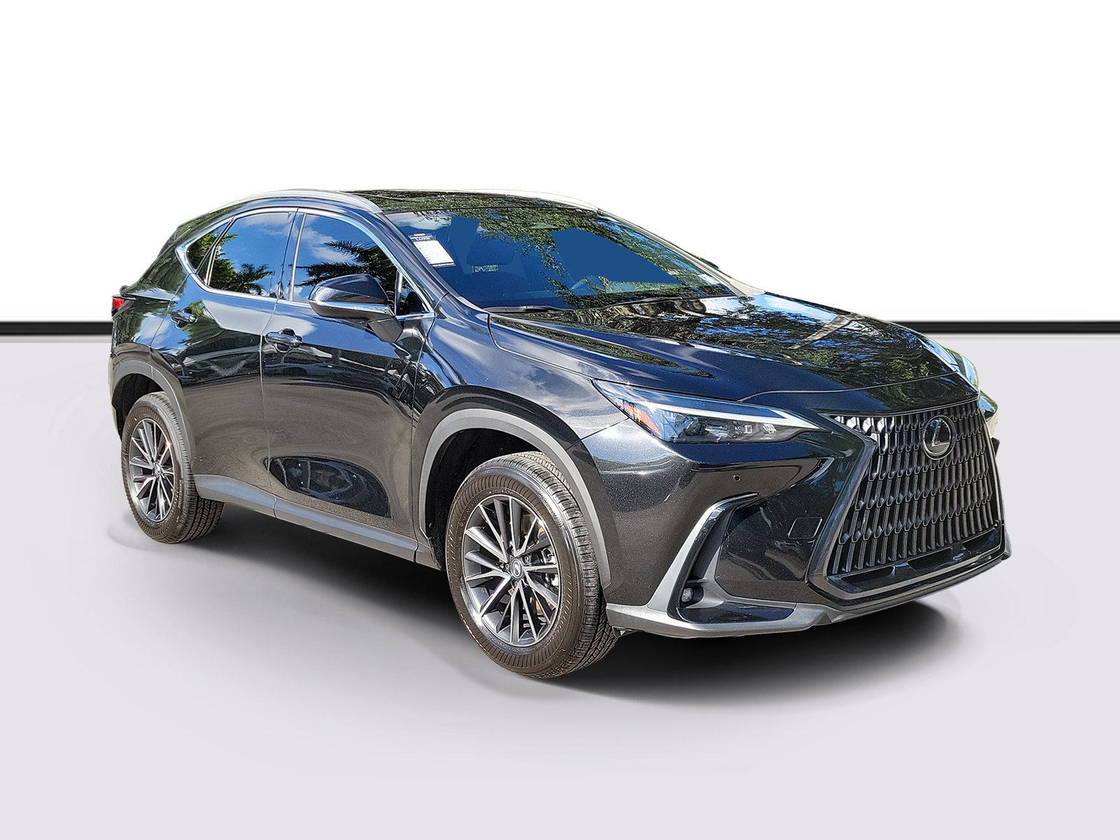 Used 2025 Lexus NX 250 FWD w/ Cold Area Package image 1