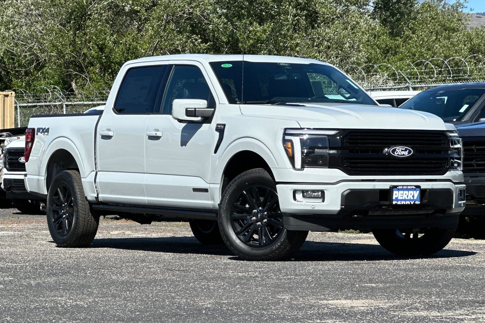 New 2026 Ford F150 Platinum