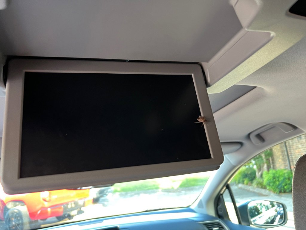 Used 2019 Honda Odyssey EX-L image 10