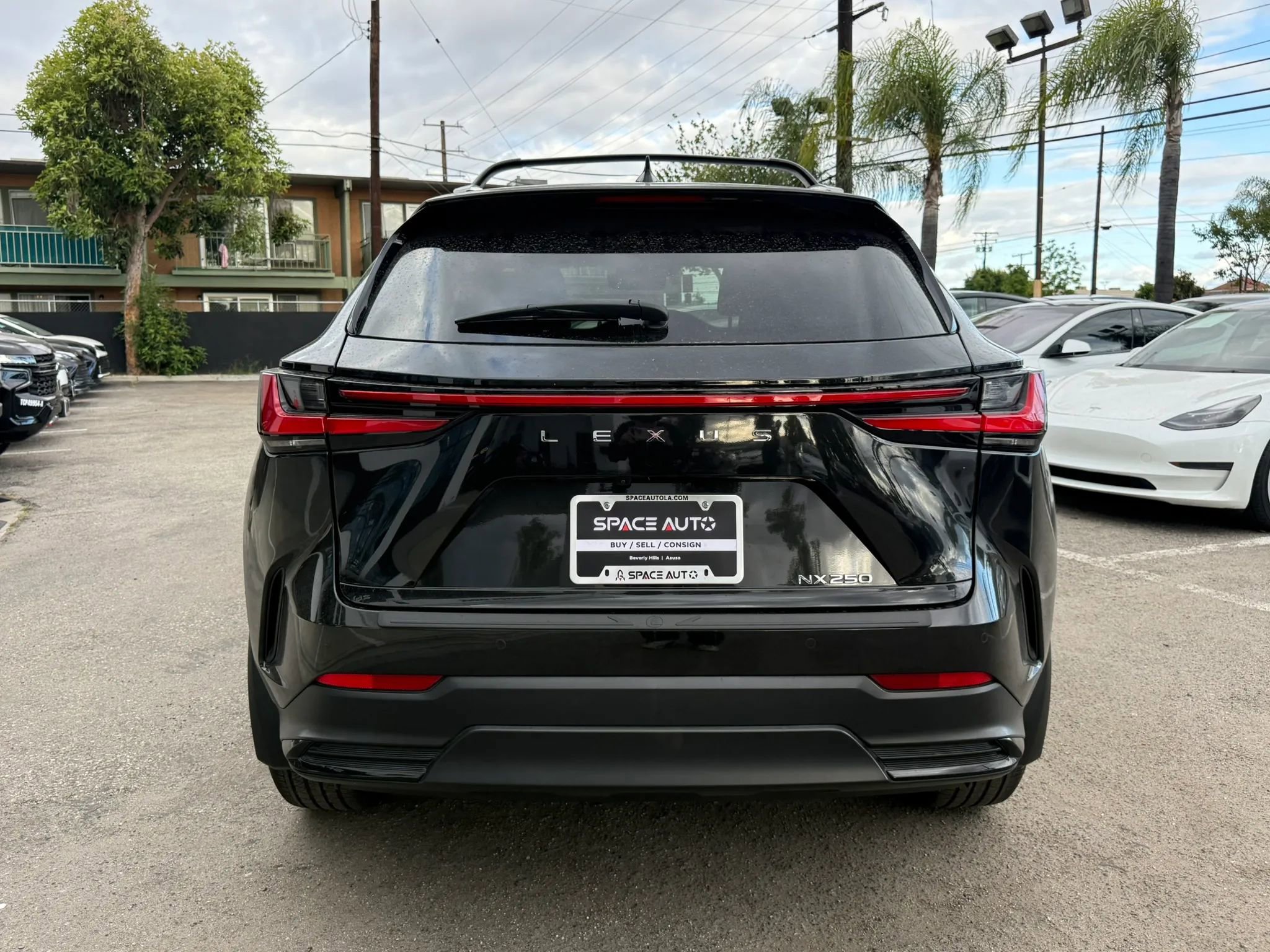 Used 2025 Lexus NX 250 FWD w/ Accessory Package (2T) image 6